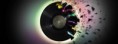 /album/galerie-photos/musique-design-record-fissures-315x851-jpg/
