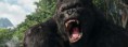 /album/films/movie-king-kong-jpg/