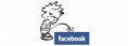 /album/insolite/couverture-insolite-facebook-133-jpg/