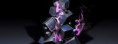 /album/a3d1/a3d-cubes-jpg/