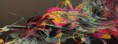 /album/art-art-moderne/art-abstrait-jpg/
