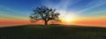 /album/art-art-moderne/lone-tree-at-sunrise-jpg/