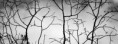 /album/art-art-moderne/noir-et-blanc-jpg/