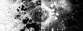 /album/art-art-moderne/noir-et-blanc-fleuris-jpg/